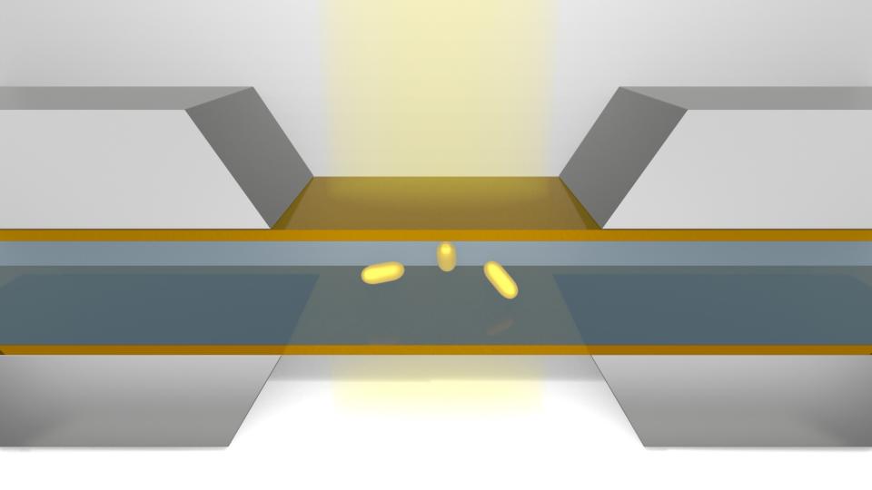 Schematic showing nanoparticles in the microfluidic chamber of liquid-phase transmission electron microscopy